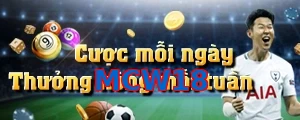 MCW18